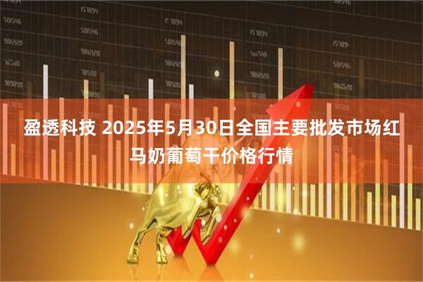 盈透科技 2025年5月30日全国主要批发市场红马奶葡萄干价格行情